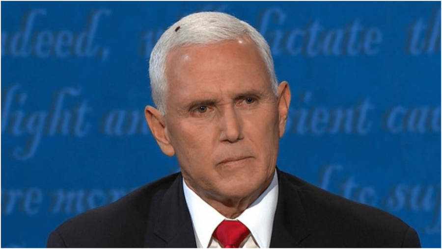 Vice President Pence and the fly on his head gained a lot of social media attention and made national headlines at the Vice Presidential Debates.
Source: ABC News