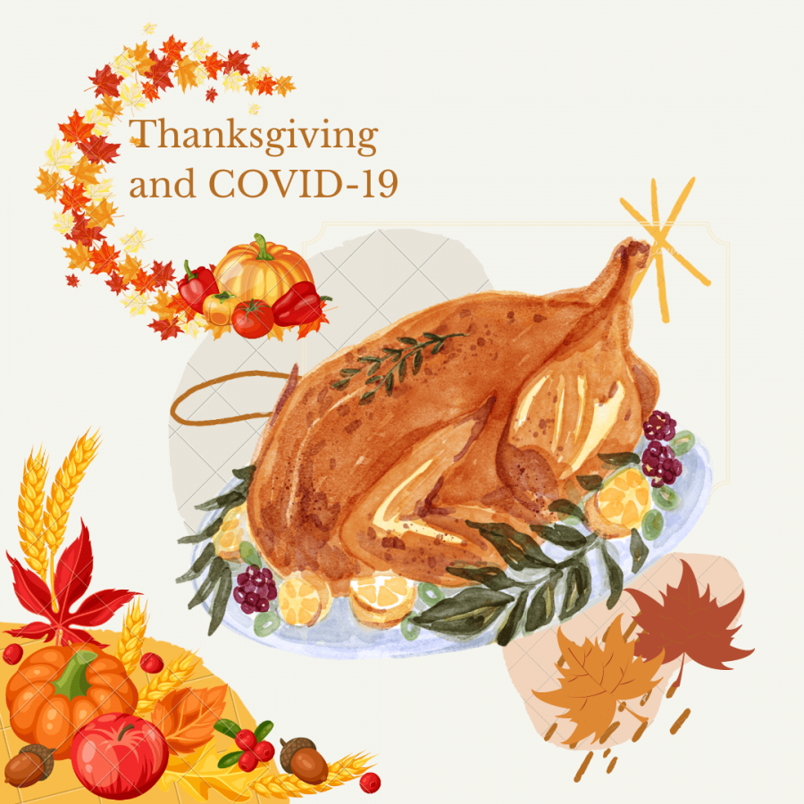How did peoples plans change for Thanksgiving this year due to COVID-19?