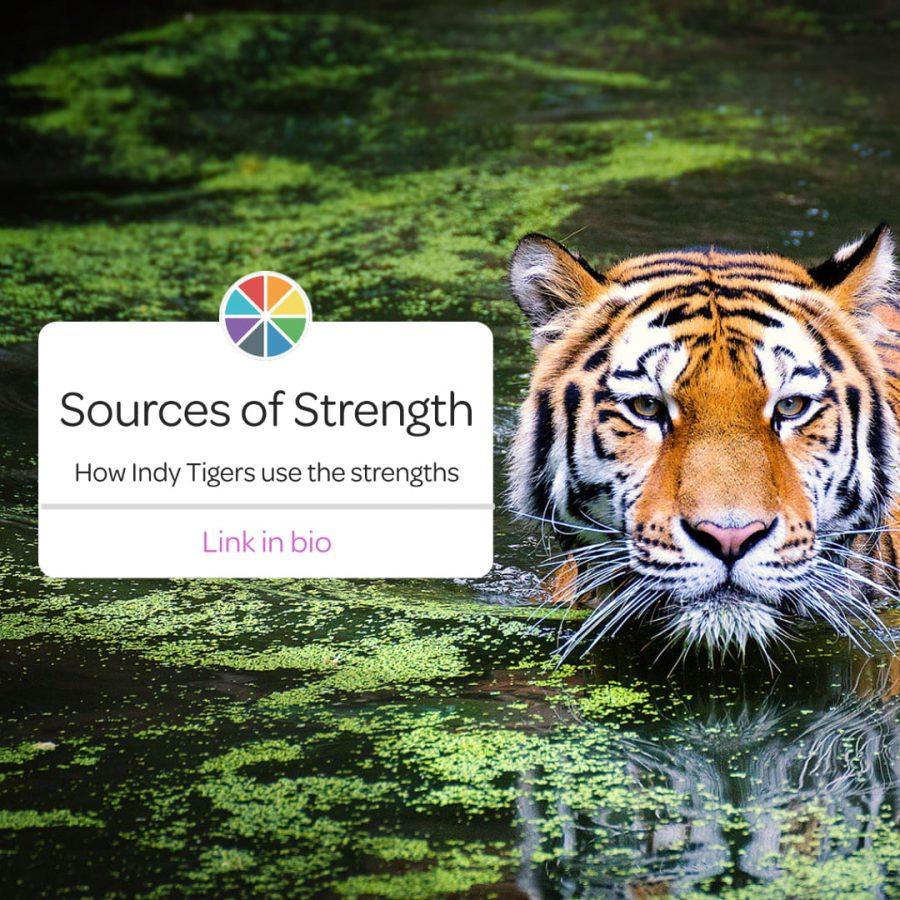 Tigers share how the strengths on the Sources of Strength wheel have impacted them